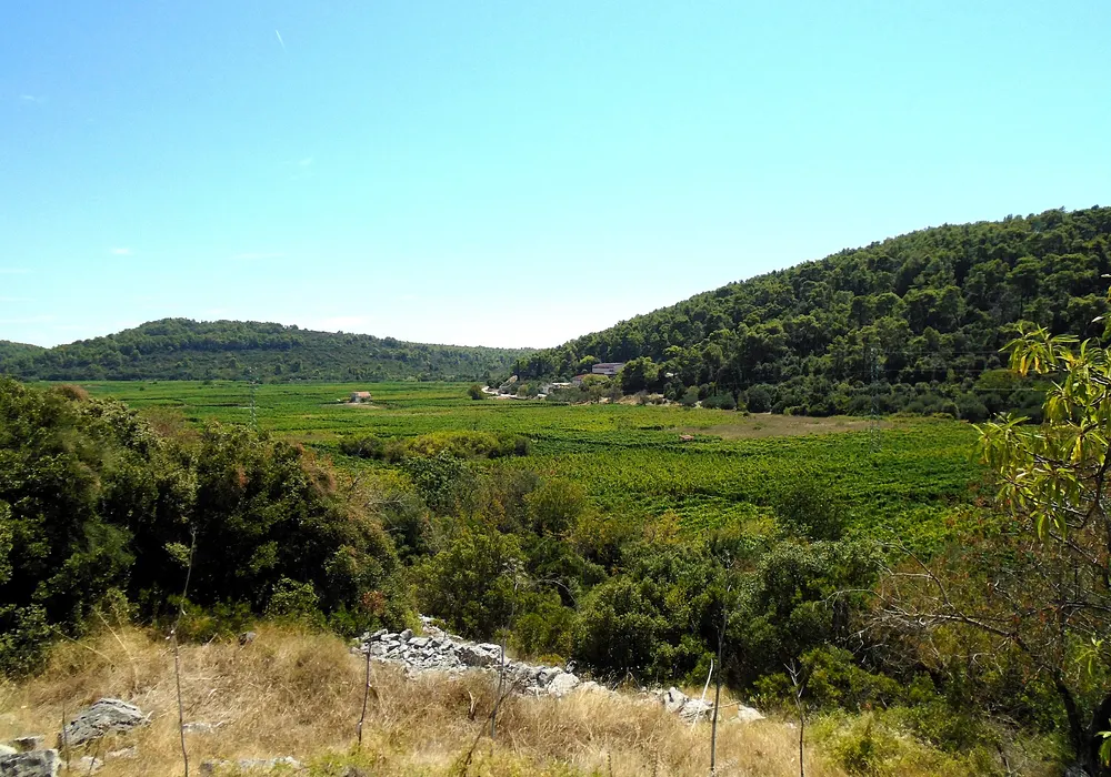 Čarsko polje na otoku Korčuli